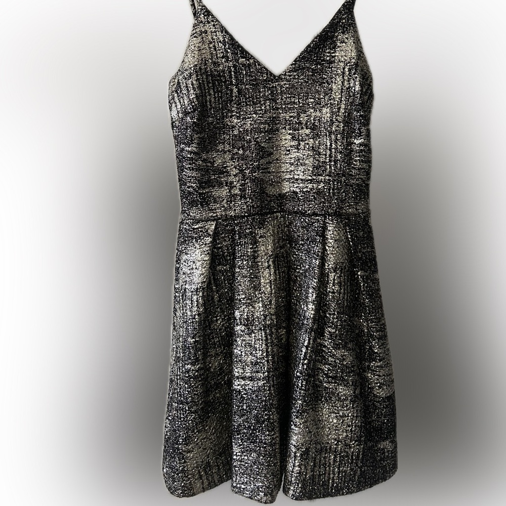 Shimmering Silver Dress